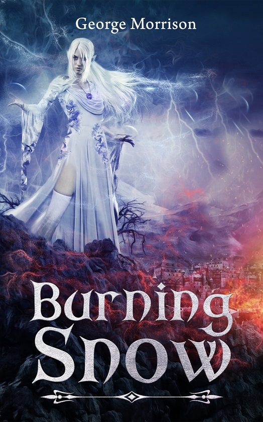 Book Cover for Burning Snow